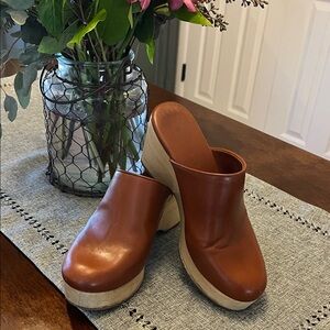 Everlane Women's Brown Leather Clogs
